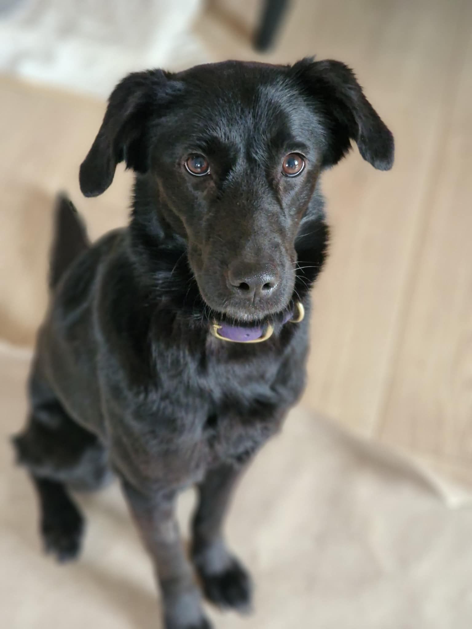 aktualność: Dama ma dom, zamieszkała w Warszawie