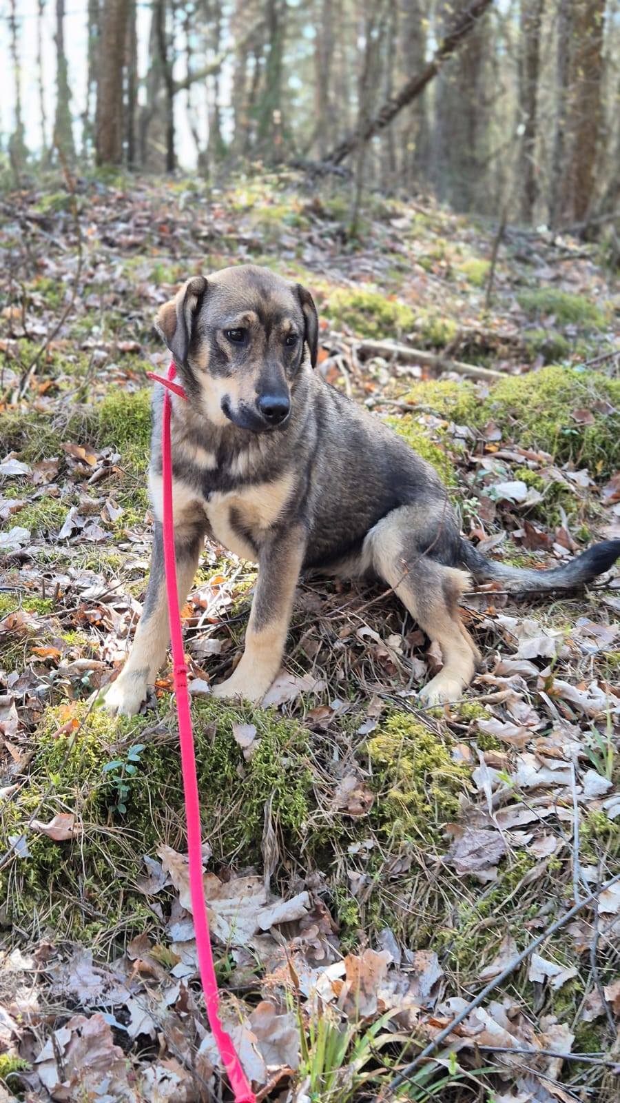 aktualność: Gapa ma dom, zamieszkała w Warszawie
