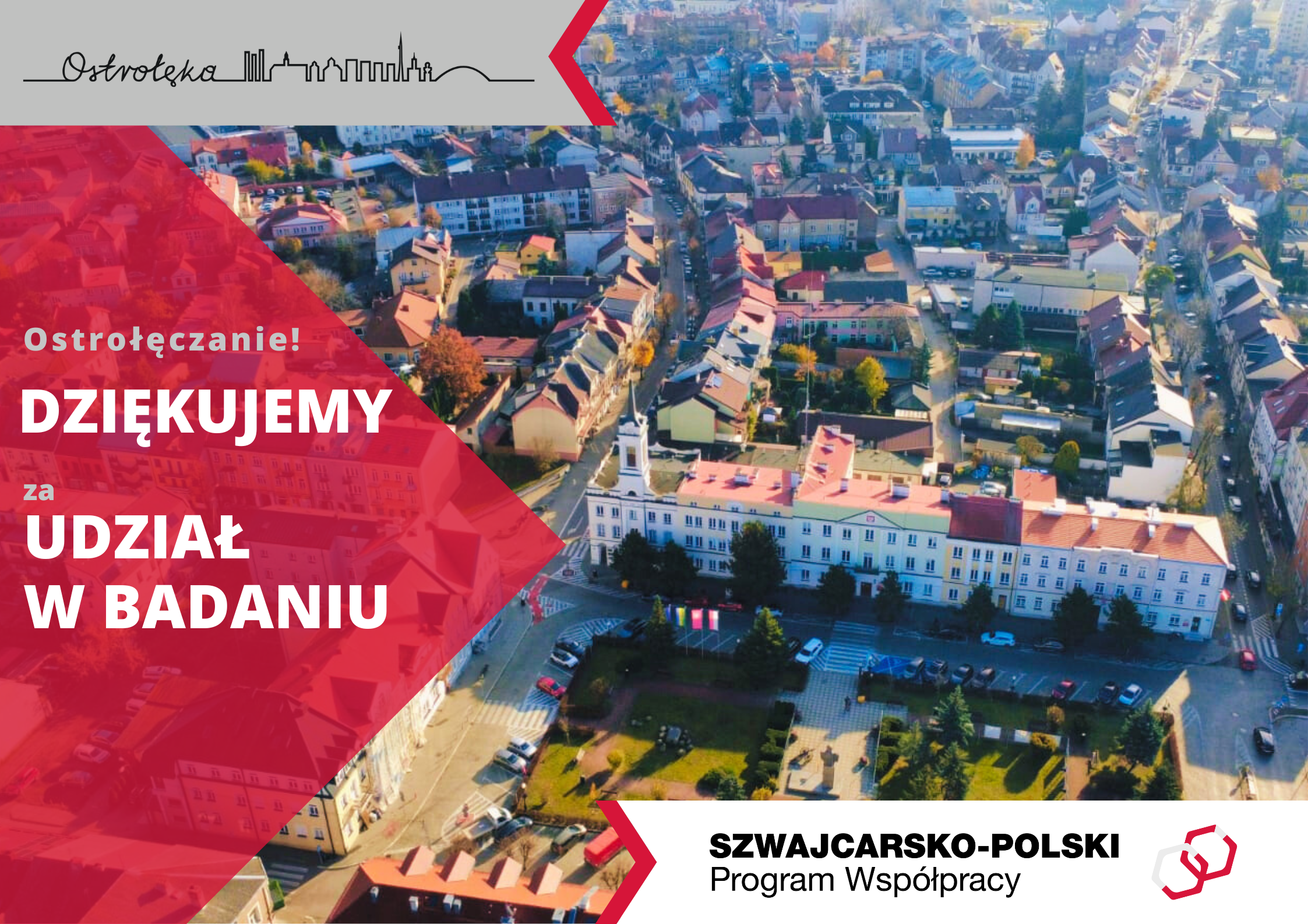 aktualność: Summary of the survey conducted as part of the project 