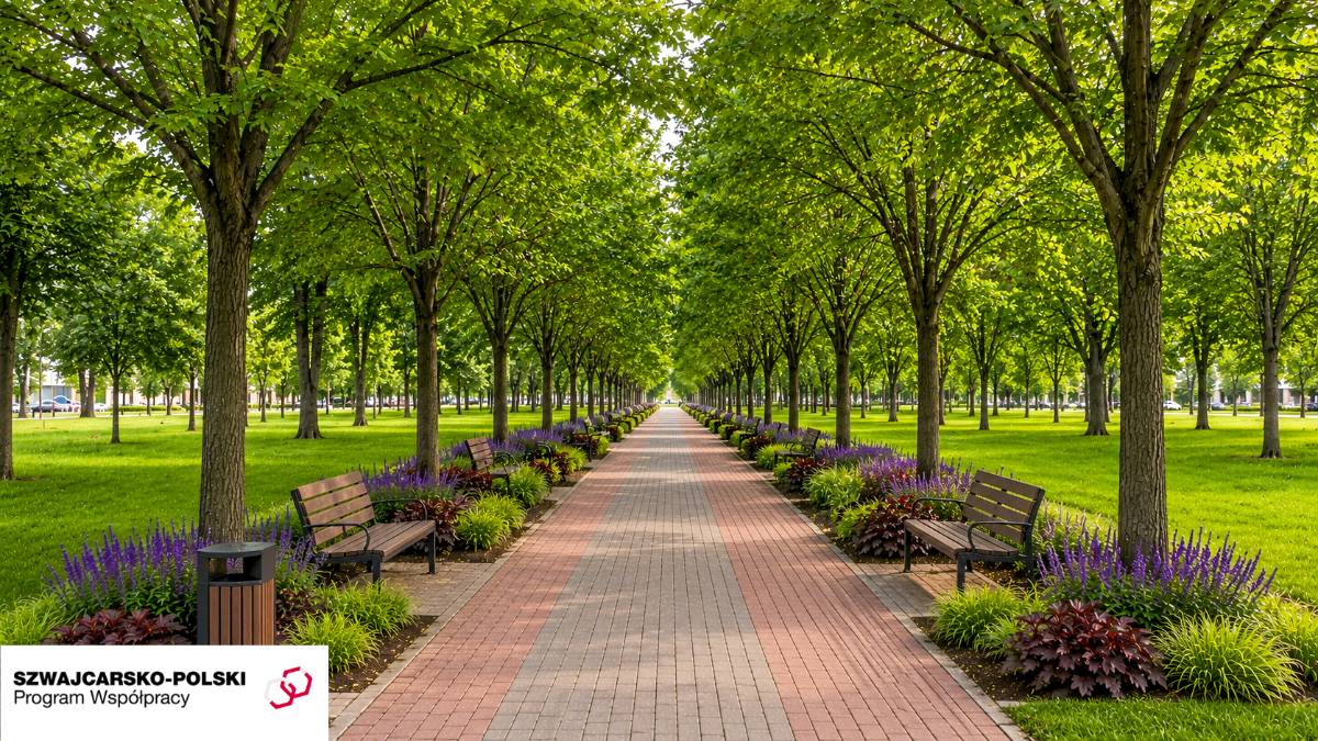 aktualność: Changes Are Coming to the City Park