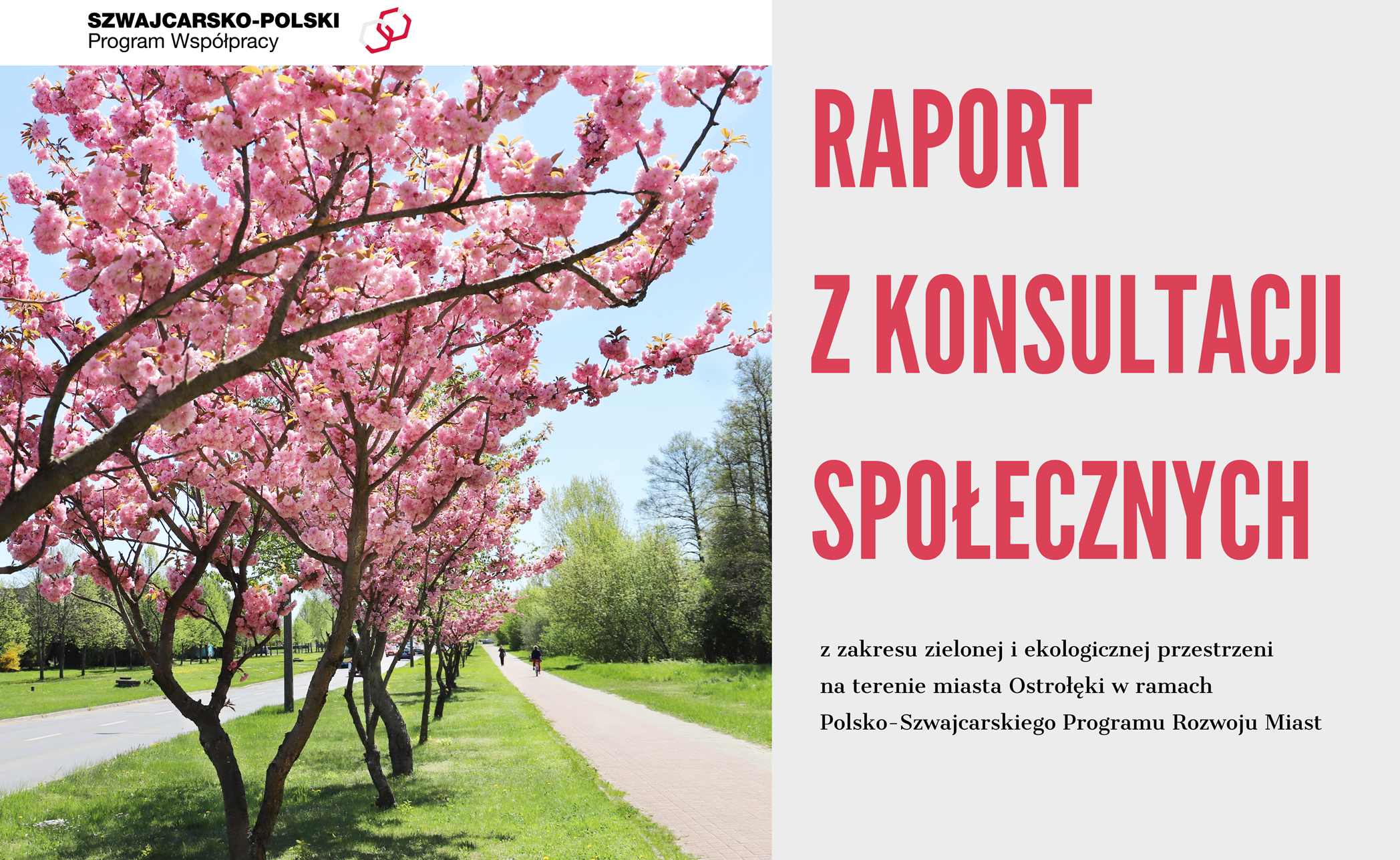 aktualność: Raport z konsultacji społecznych z zakresu zielonej i ekologicznej przestrzeni